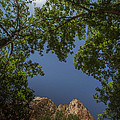 Windows in Zion